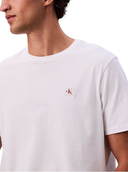 T-shirt in cotone Calvin Klein Jeans | LV04RC272GYAF